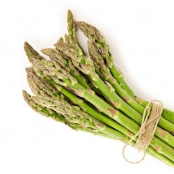 Asparagus (large)